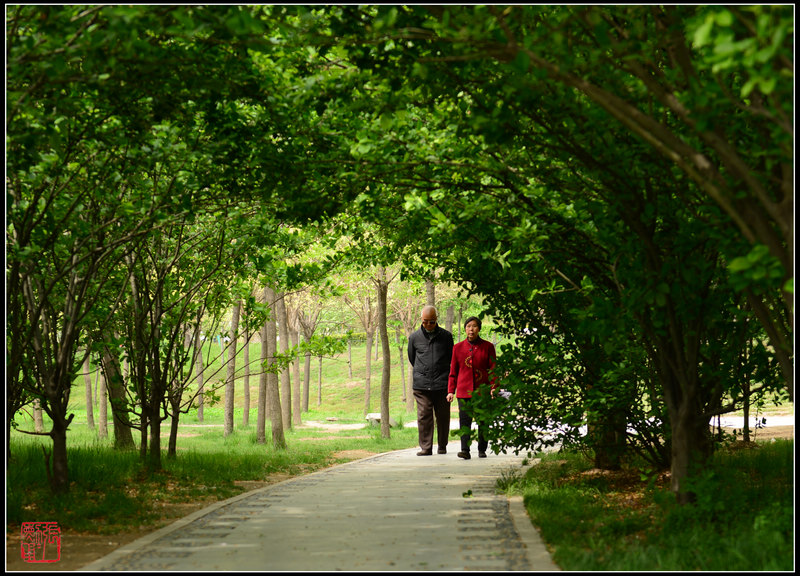 踏春 摄影 zhangxunyong