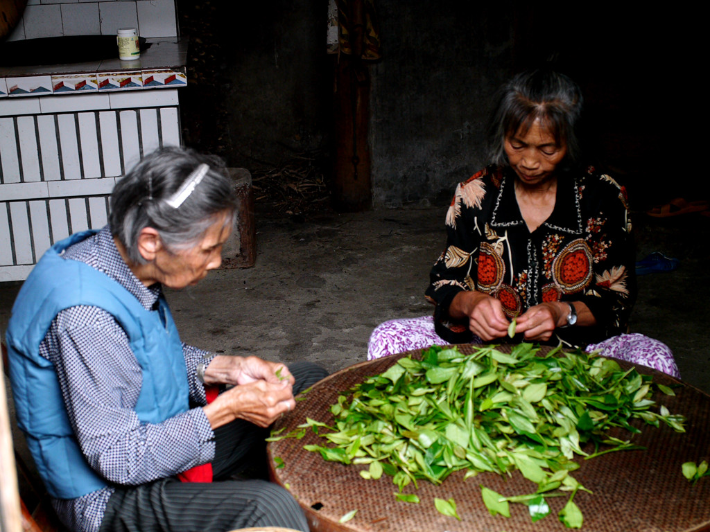 婆媳择茶 摄影 宏程心路