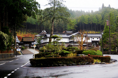 寺院 摄影 胡同串子老大