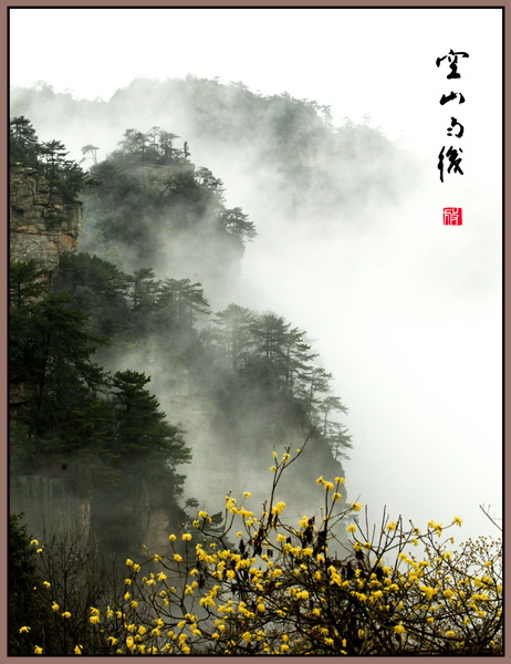 空山雨后 摄影 色胆犹存