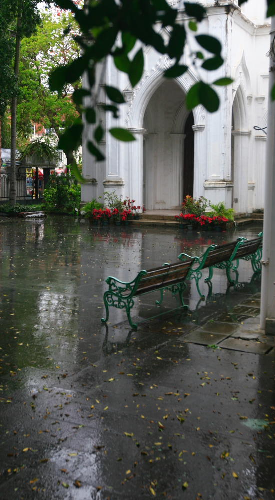 雨后 摄影 吾本布衣