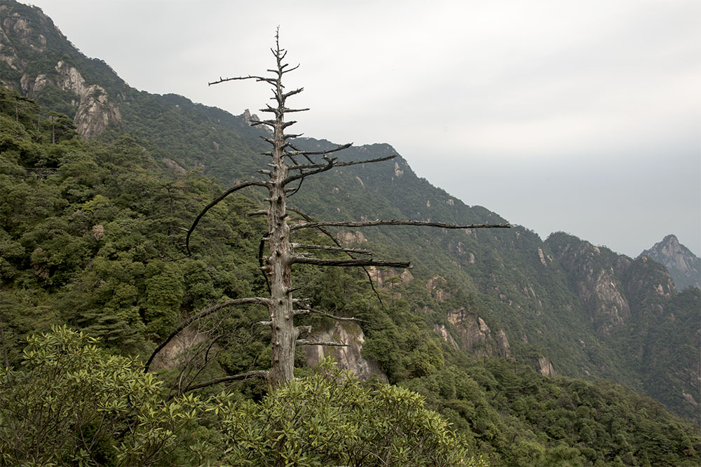 三清山 摄影 大农