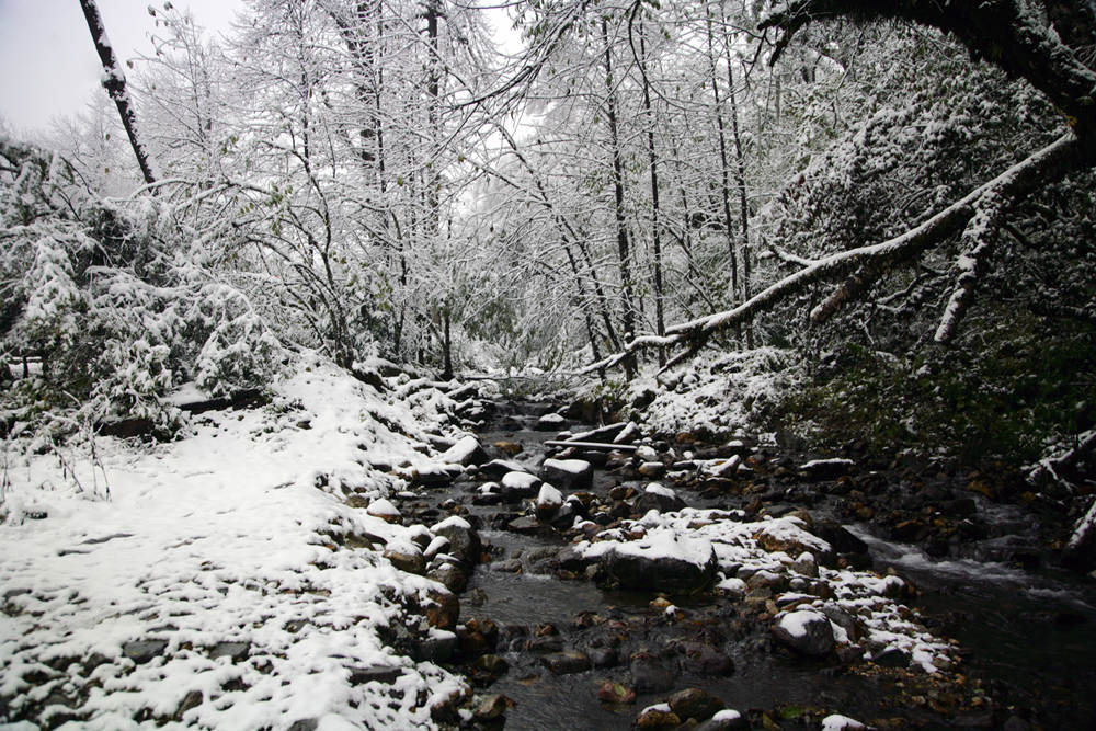 雪色 摄影 牟墉