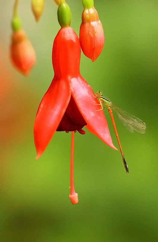 小憩 摄影 liangdawei