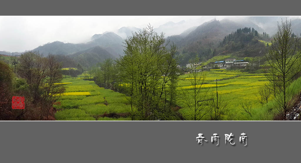 《早春的雨》 摄影 一路有你