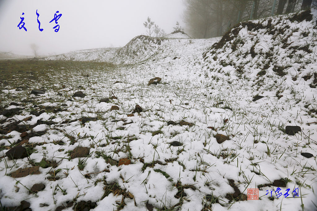 夏之雪 摄影 霍化颜