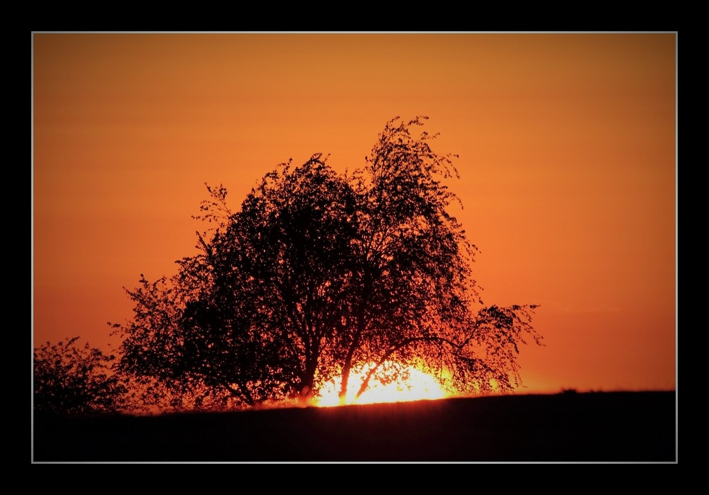 夕阳随拍 摄影 bingxin