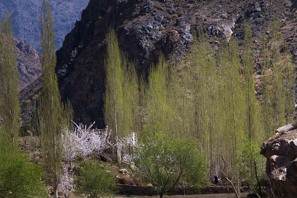 乡村随拍 摄影 云之山峰