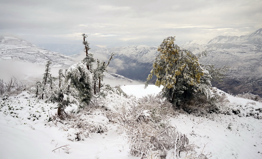 走在红土地的雪地上 摄影 古月古力