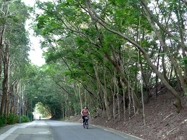 那條路 摄影 建智