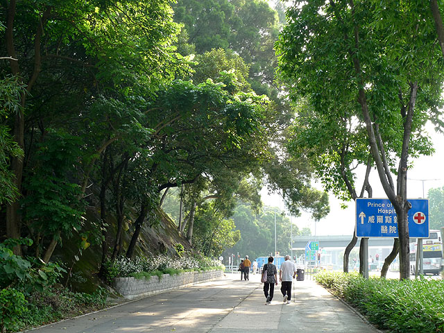 那條路 摄影 建智