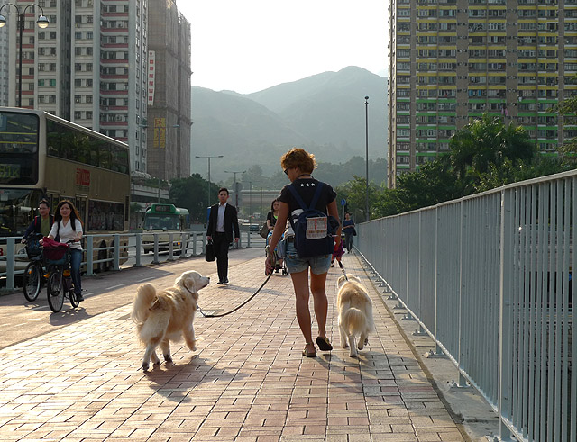 溜狗 摄影 建智