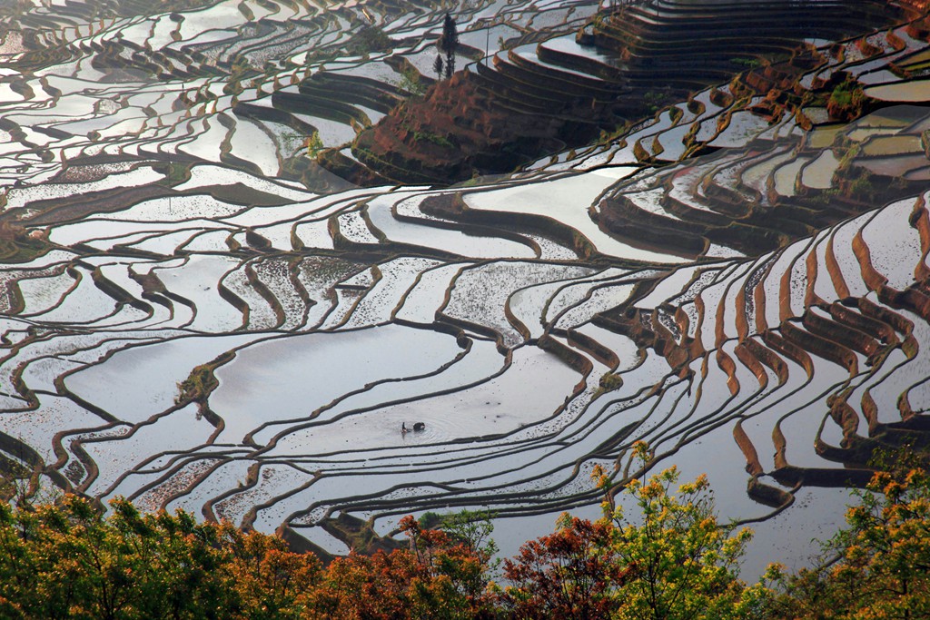 元阳梯田 摄影 柏岩