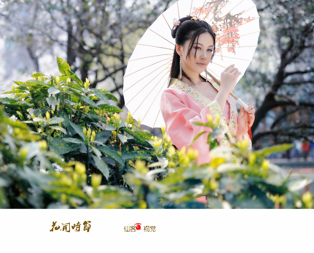 花开时节 摄影 愣头青2