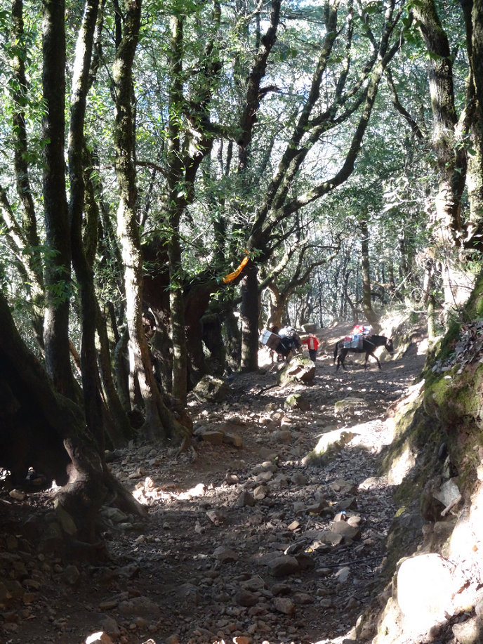 鸡足山序列 摄影 横断山