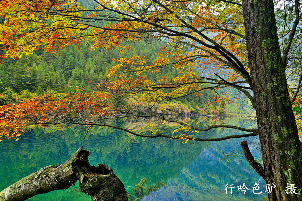 缤纷九寨01 摄影 蓝色驴