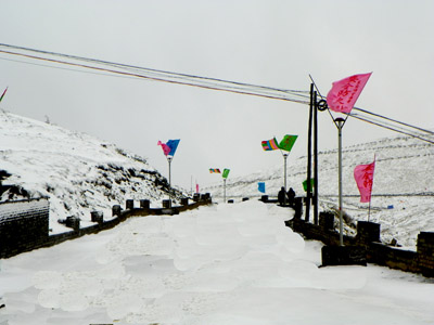 五月飘雪 摄影 子城