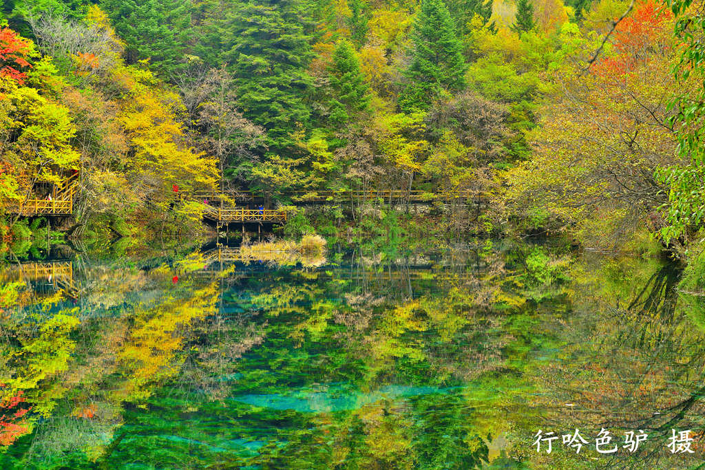 缤纷九寨08 摄影 蓝色驴