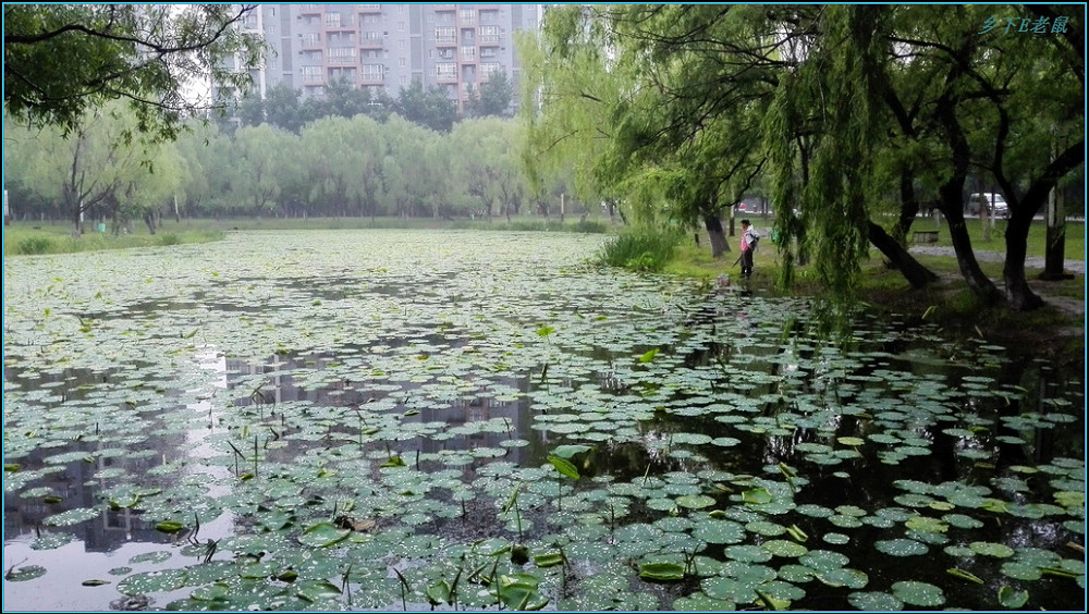 雨后北斗(手机随拍) 摄影 wxwonlines