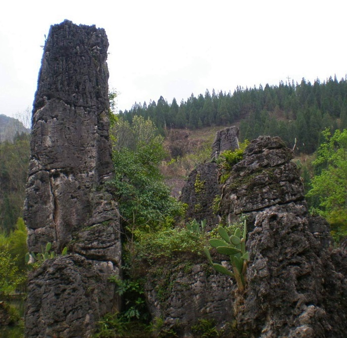 山 摄影 林洁城