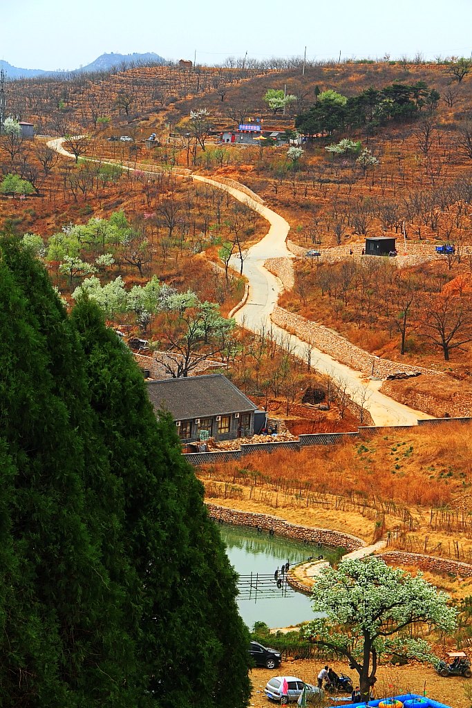 山路 摄影 电教