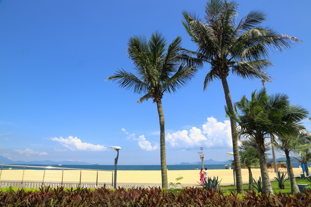 梅沙之夏 摄影 文峰山人