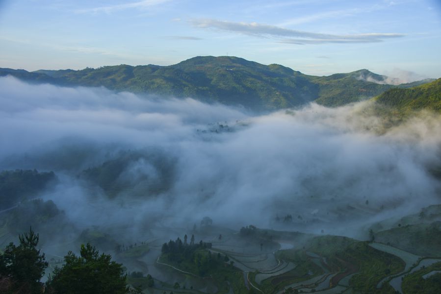 茗岙云雾风光 摄影 茗岙老胡