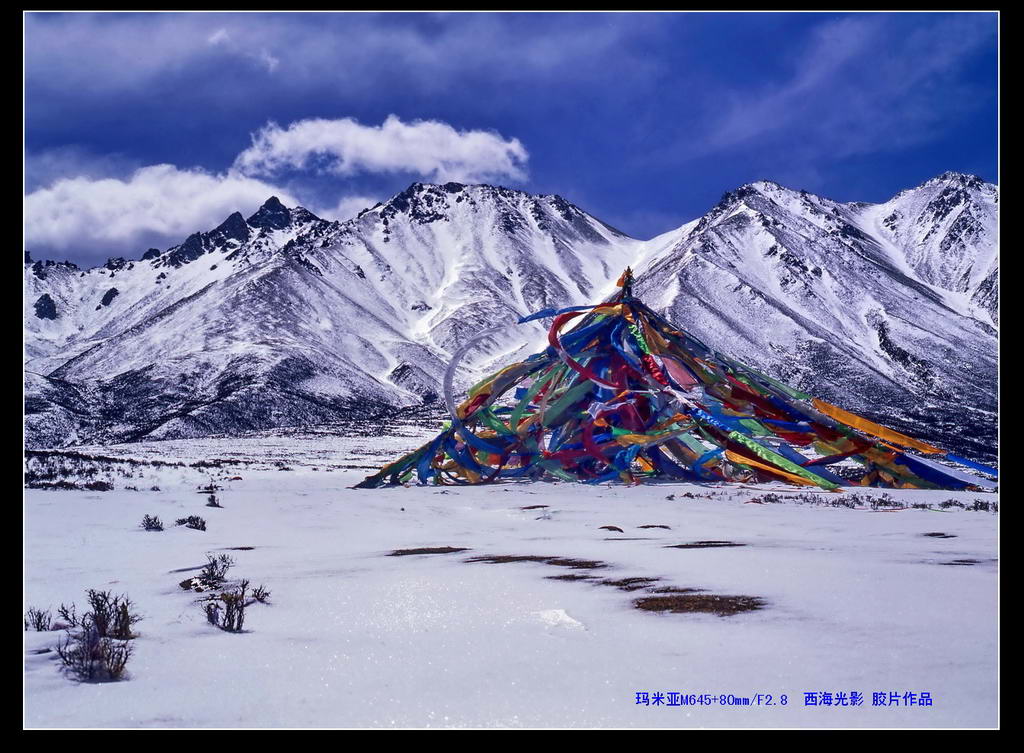 雪域经幡 摄影 秦儿