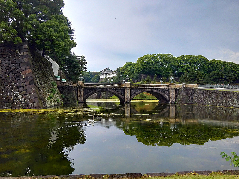 日本游随拍 摄影 夜雨听蕉