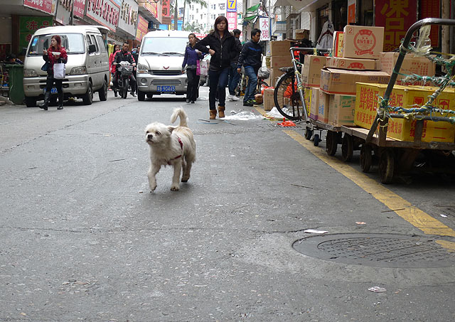 低角度 摄影 建智