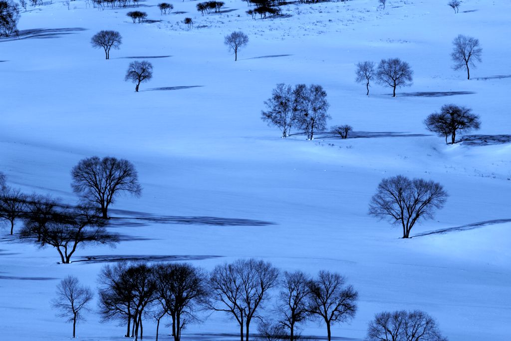 雪 摄影 雕光剑影