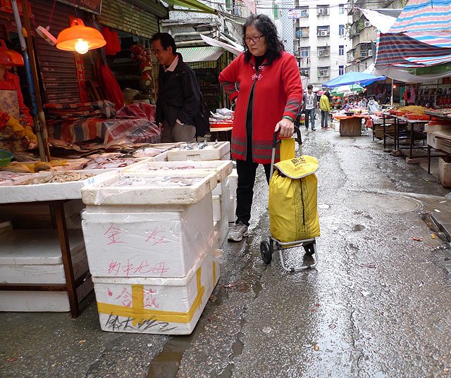 走過 摄影 建智