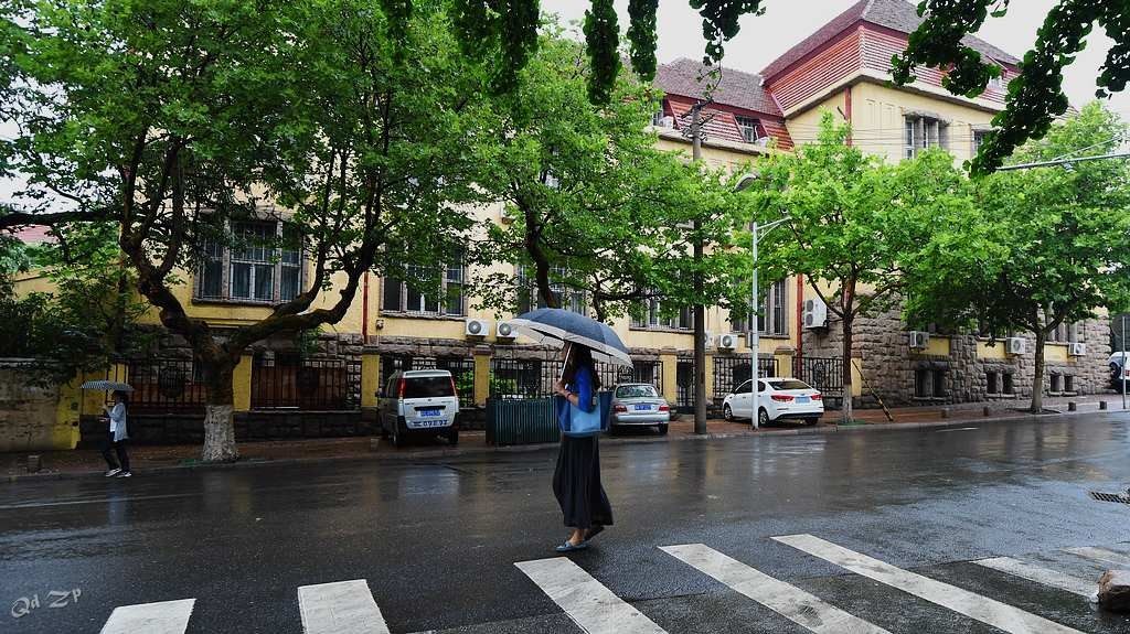 青岛的雨中随拍 摄影 qdzp