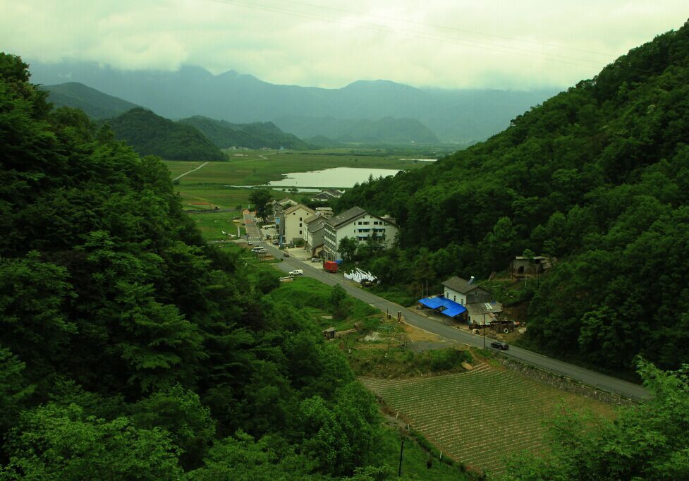 神农架大九湖 摄影 于搏