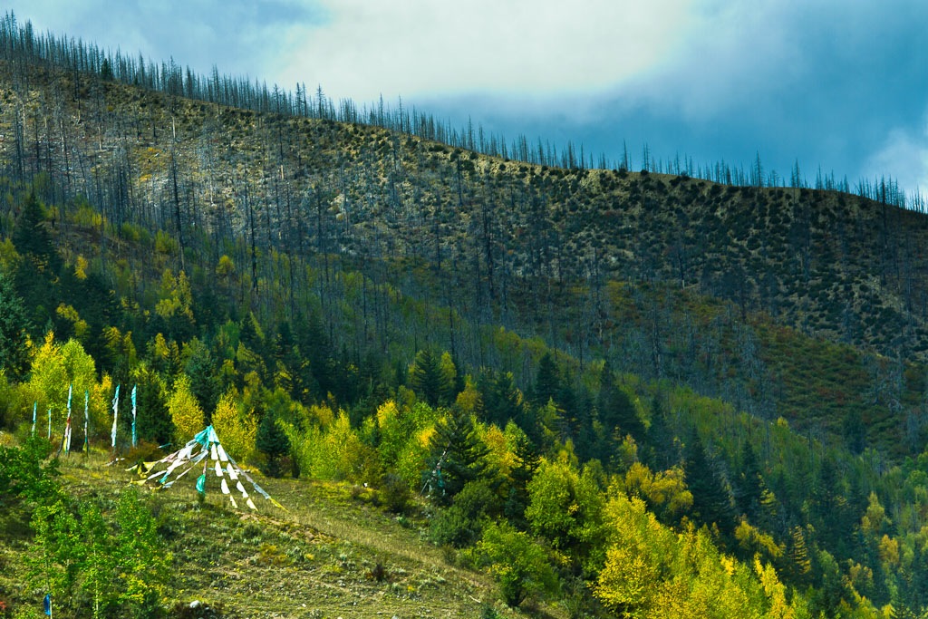 路上的风景 摄影 云之山峰