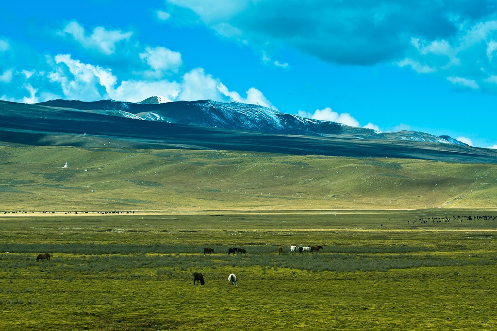 路上的风景 摄影 云之山峰