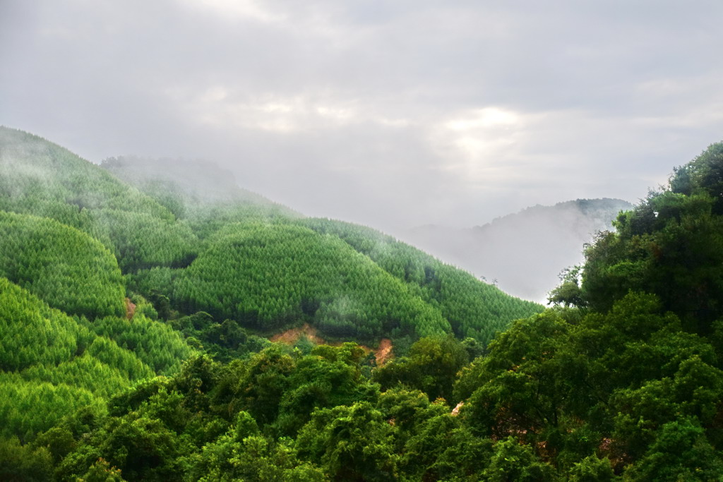 雨后青山 摄影 九九加一