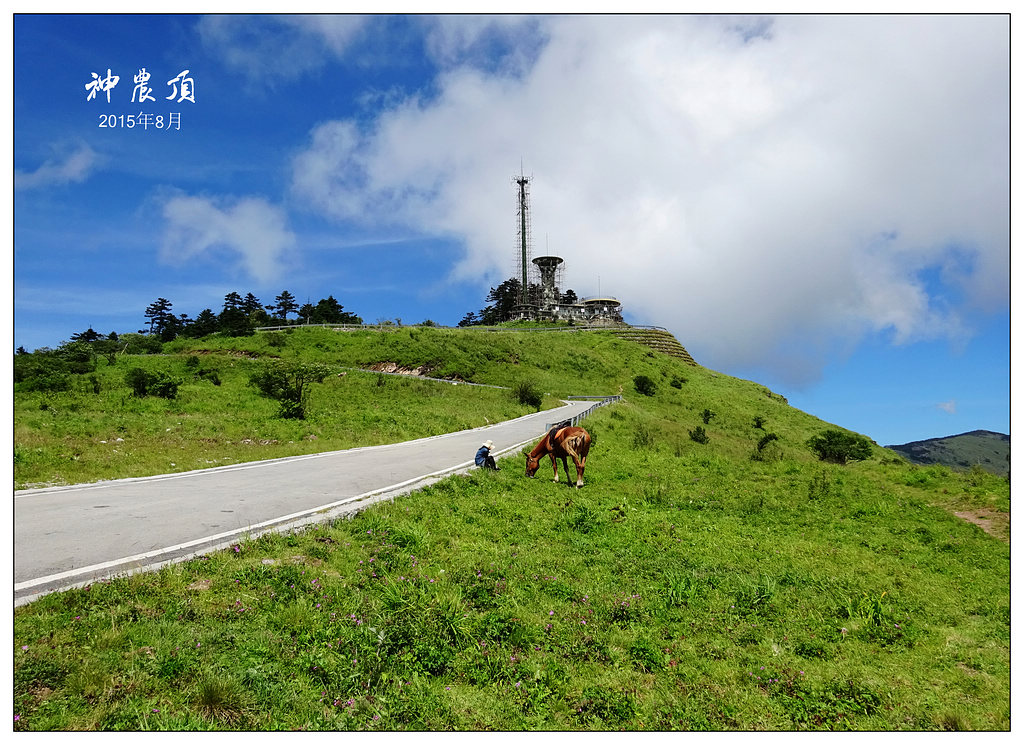 神农顶 摄影 连队