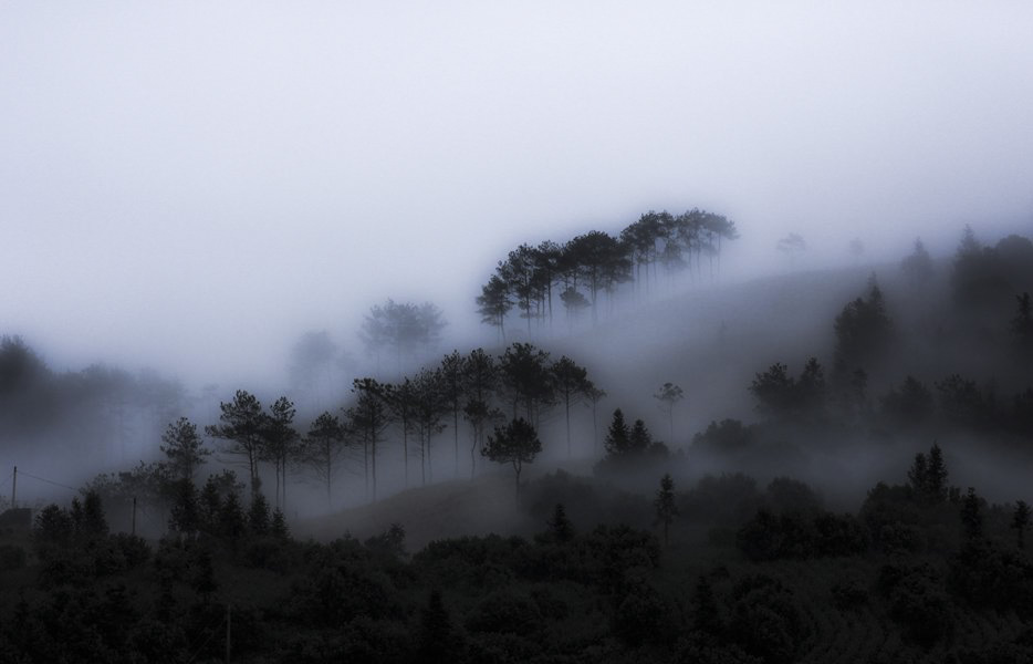 迷雾茫茫 摄影 茗岙忠