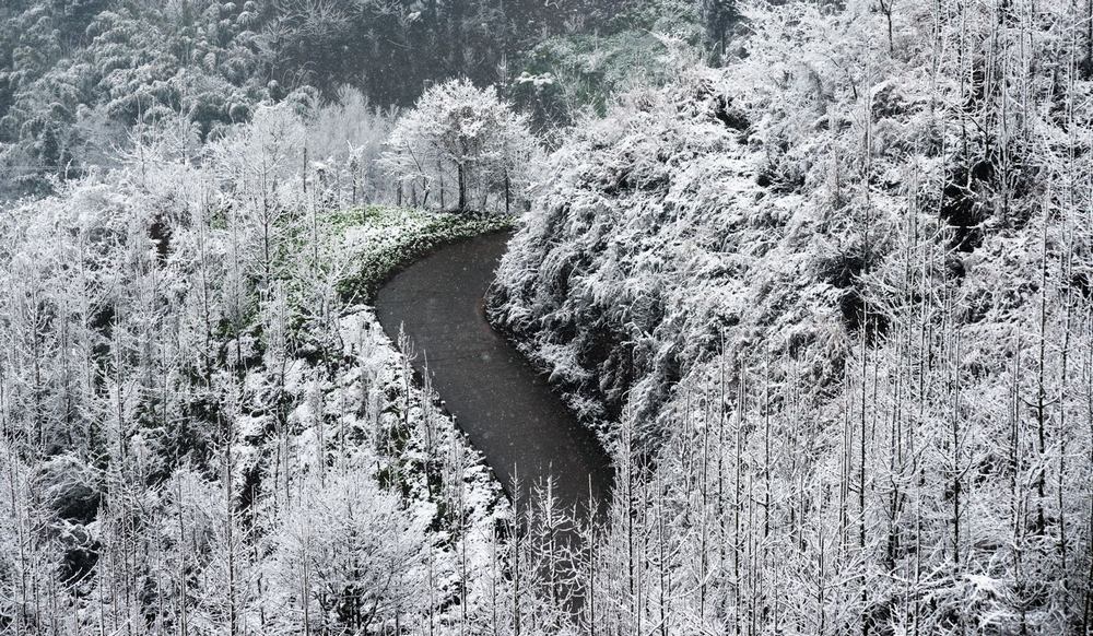 山路 摄影 luzhouzjy