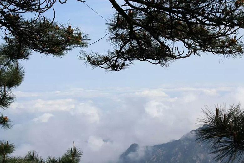 黄山云海 摄影 大哥看点