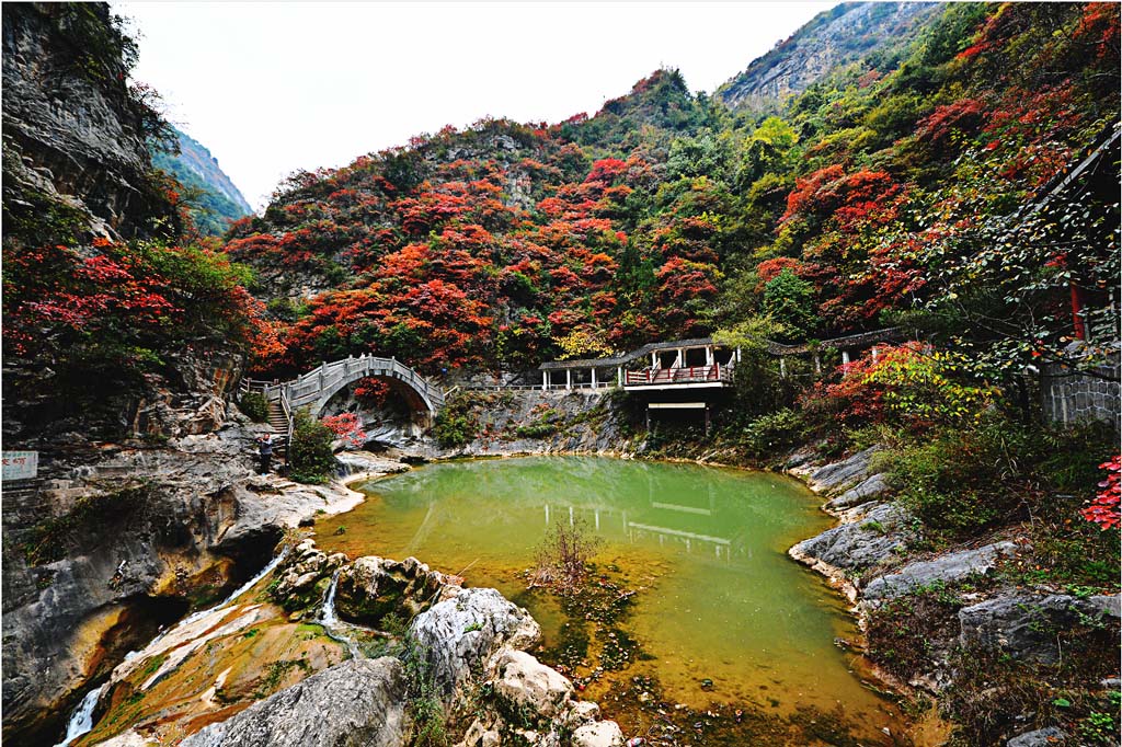 醉美西峡 摄影 路不平