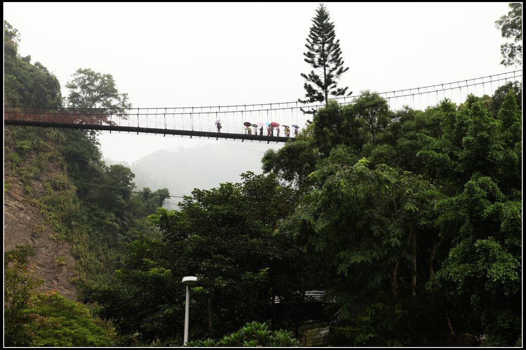 旅台8日游1 摄影 桂花城