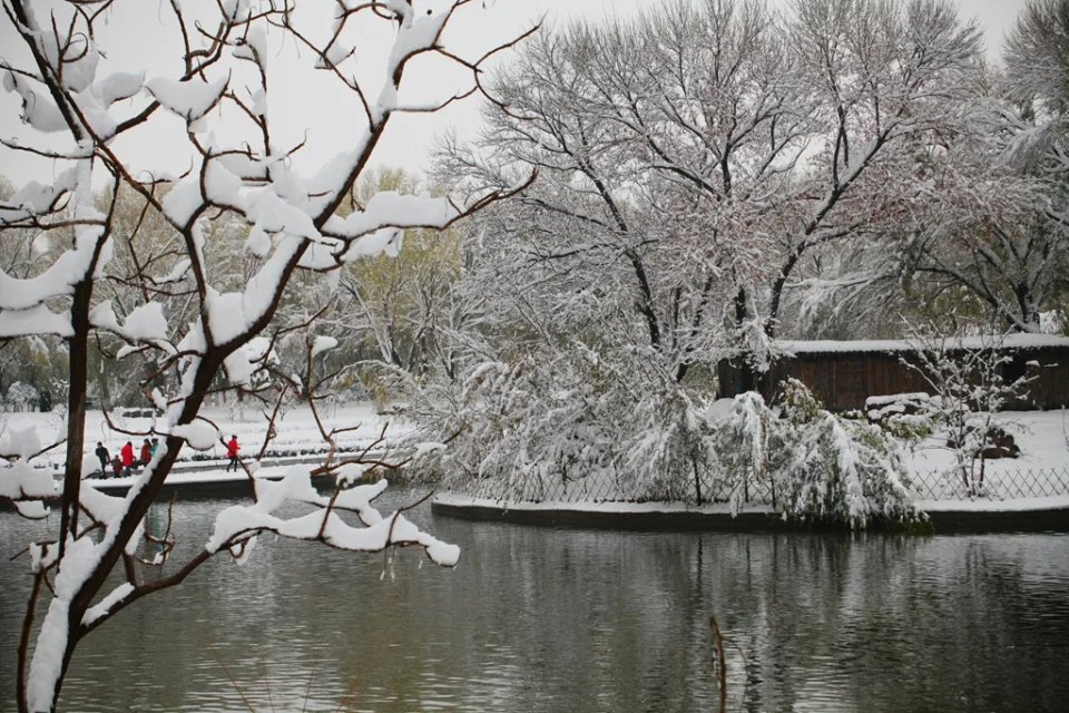 观雪 摄影 泥河湾