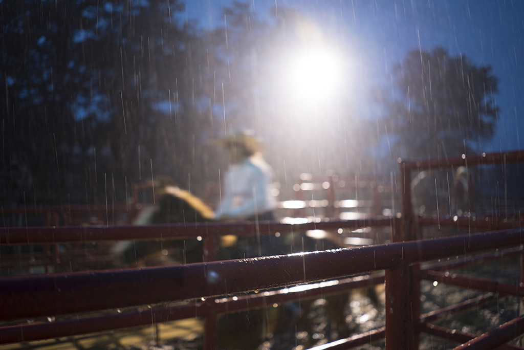 风雨无阻 摄影 牛仔迷