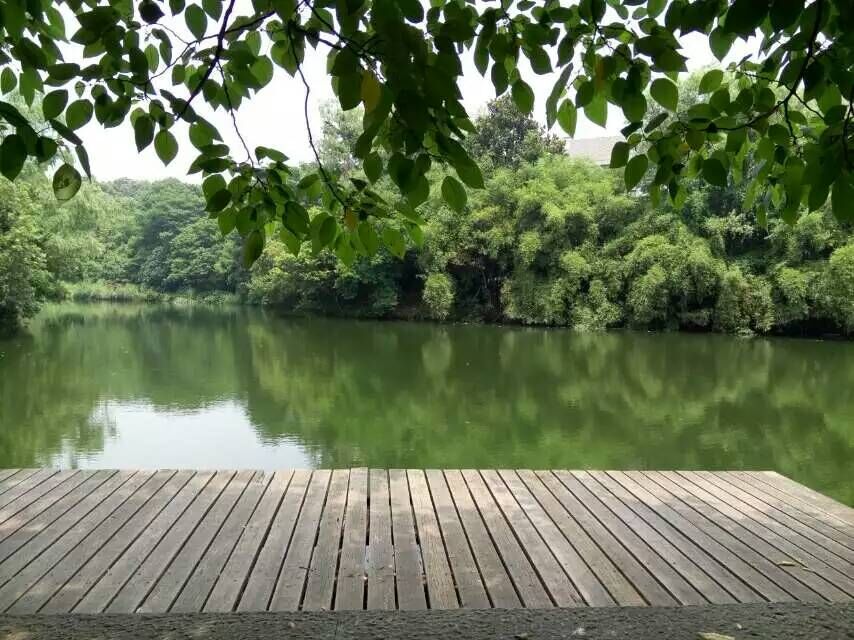 家乡的原风景 摄影 江南伦哥