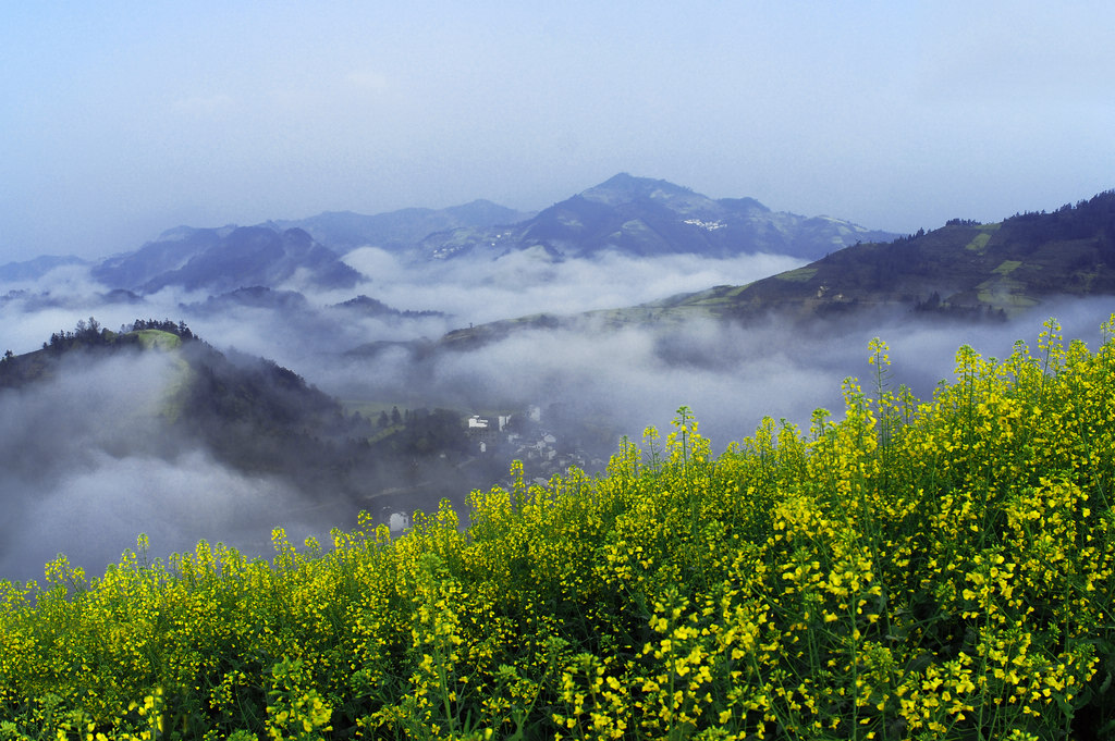 江南春色 摄影 那人那山