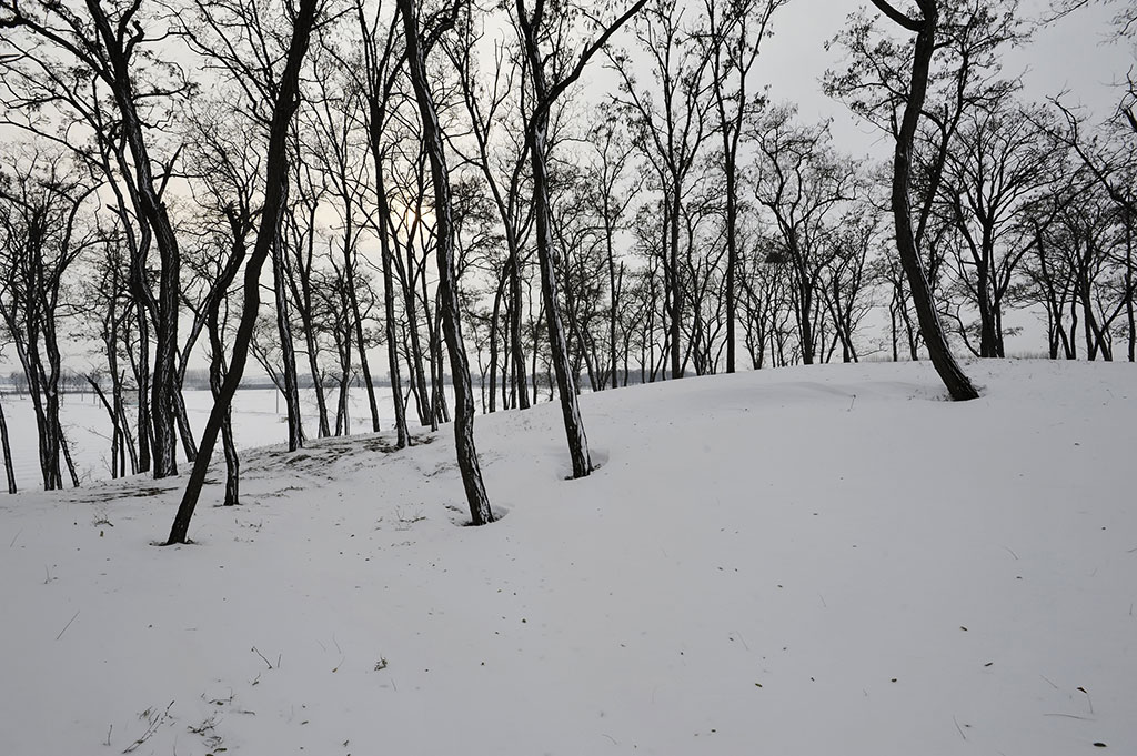 雪后 摄影 安塞尔