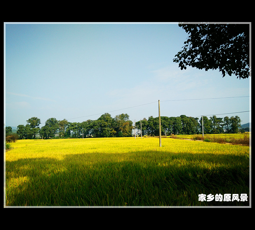 家乡的原风景 摄影 江南伦哥