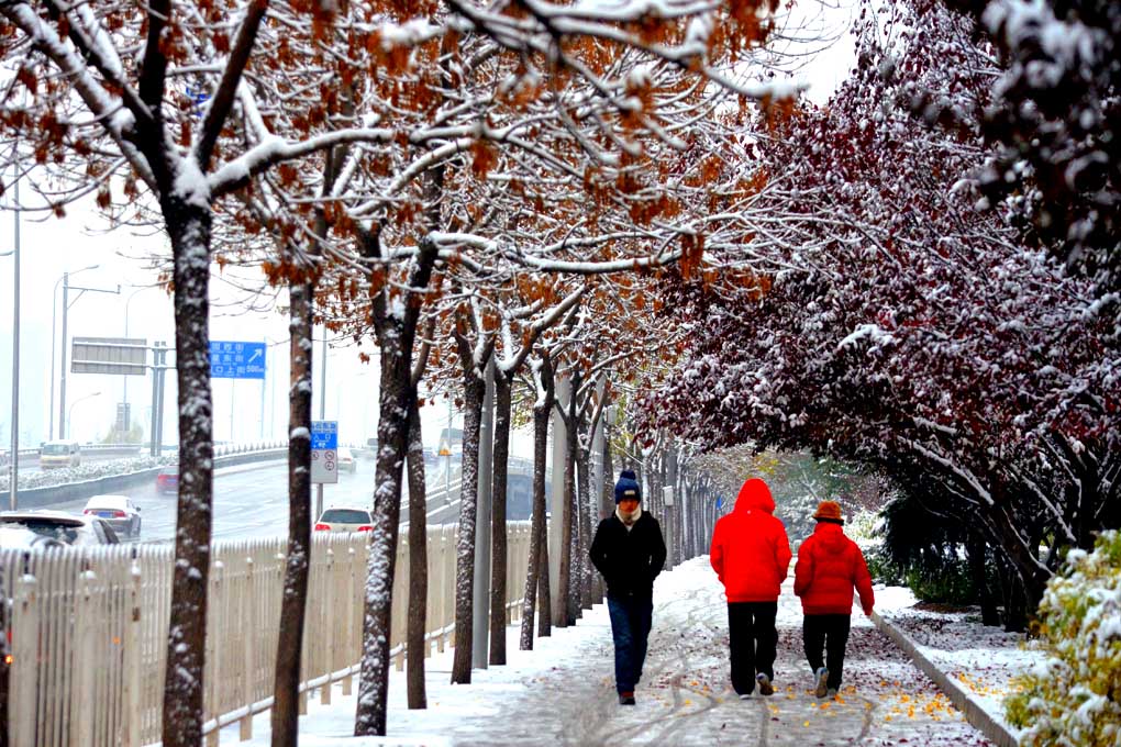 雪景 摄影 北京快乐兔